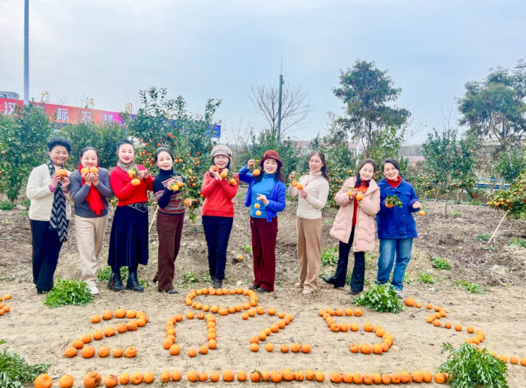 鸿运国际·(中国)最新官方网站